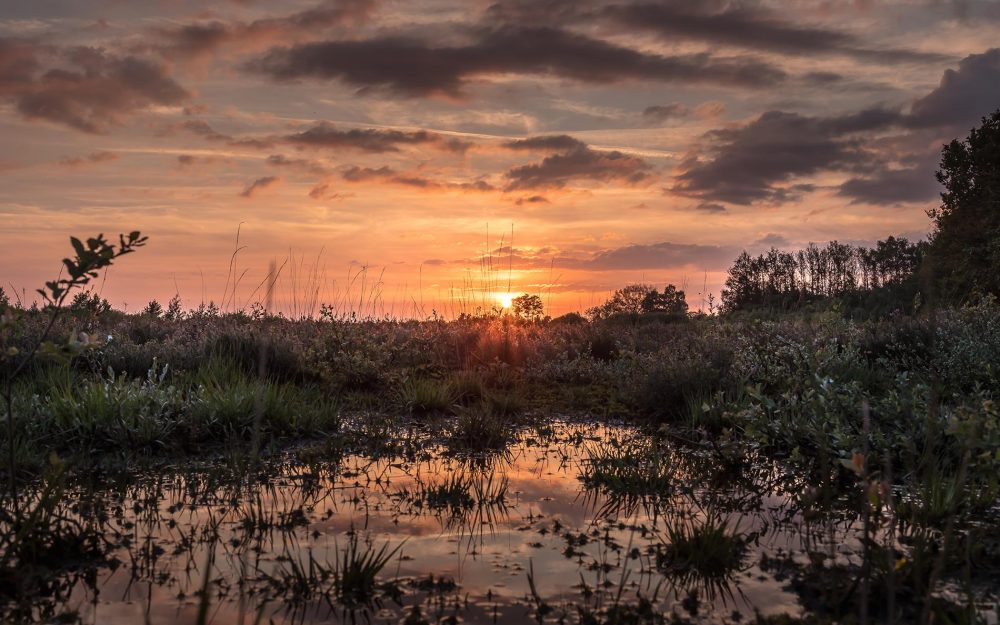 Fotografie natuur