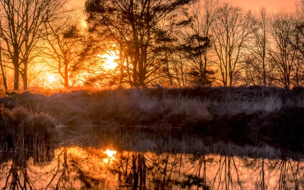 Zonsondergang Diakonievene