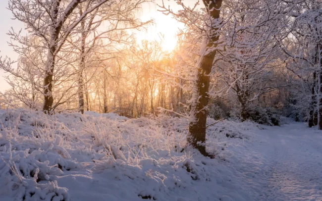 Winterfoto Friesland