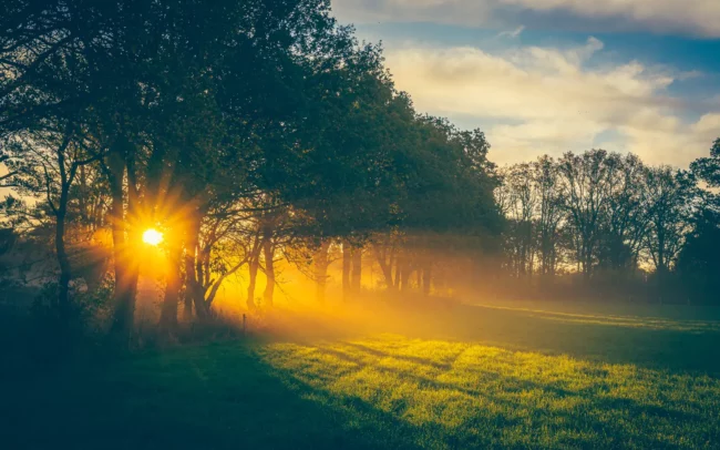 Herfstfoto zonnestralen door de bomen