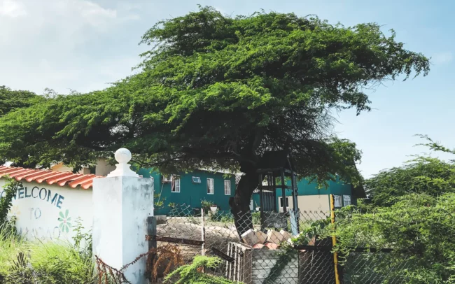 Curaçao Off-Road Tours met quad